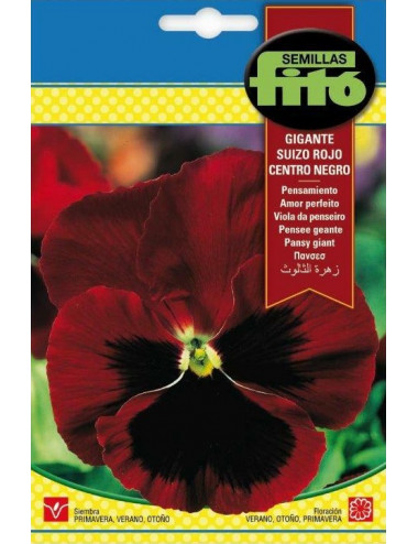 PANSY SWISS GIANT RED...
