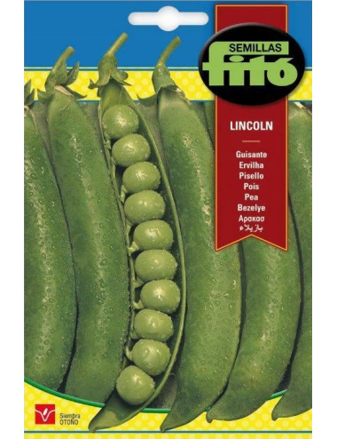 PEA LINCOLN SEEDS 1K. FITO