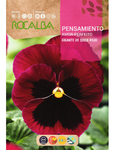 GIANT SWISS PANSY RED WITH...