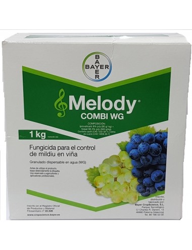 MELODY COMBI WG 1K R22526 Xn N