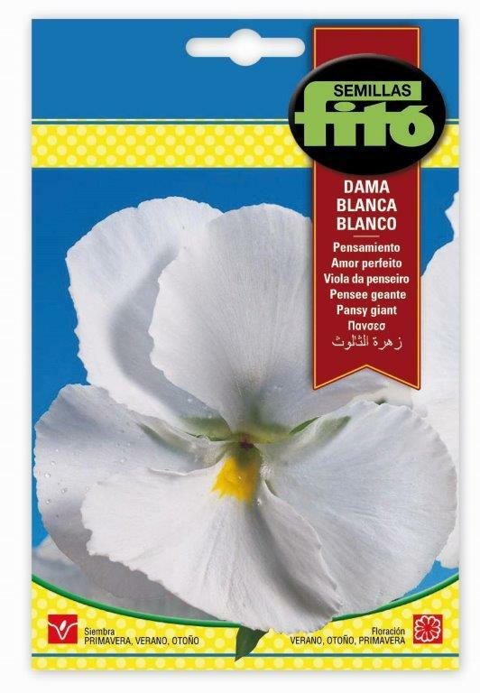 PANSY WHITE LADY SEEDS 450MGR. ...